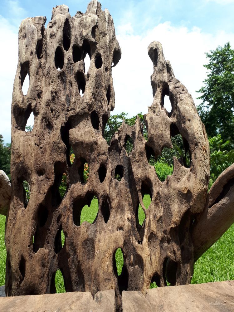 Driftwood Art Chair: Crazy Magic
